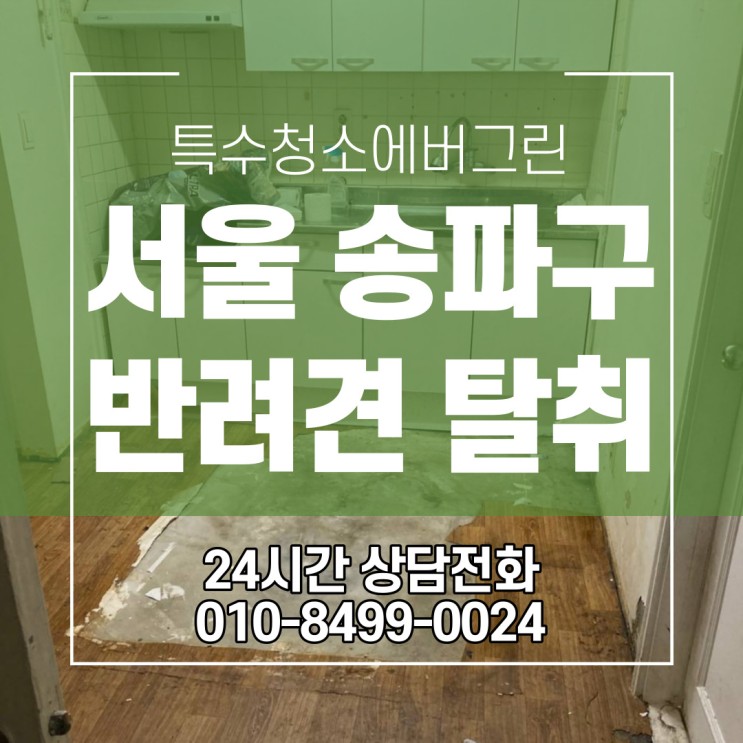 서울 송파구 특수청소 - 15평 아파트 반려견 악취탈취