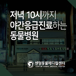  저녁 10시까지 야간응급진료하는 부산 동물병원, 센텀동물메디컬센터
