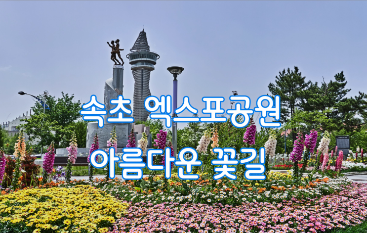 속초 엑스포공원 아름다운 꽃길 걸어보세요 속초 엑스포공원 아름다운 꽃길 걸어보세요