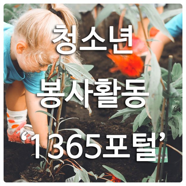  자녀 봉사활동 챙기기 - '1365포털' 가입 및 봉사신청