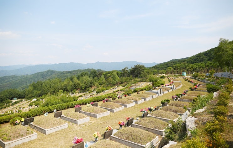  철원공원묘지 재단법인 공원묘원 가격 및 오시는길 안내