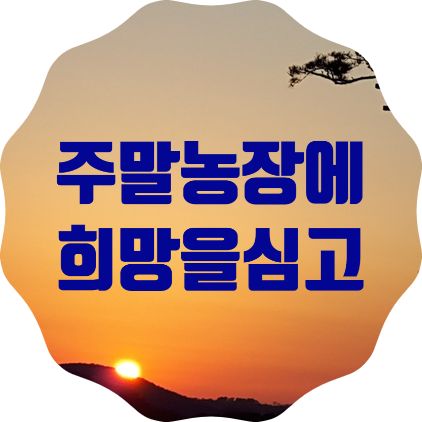  주말농장에 희망을 심고