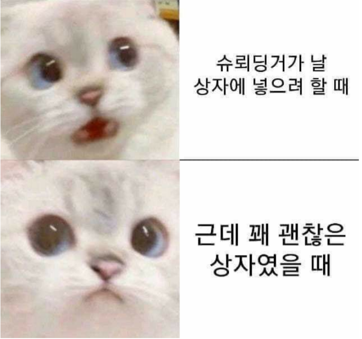  내가 좋아하는 고양이 유머