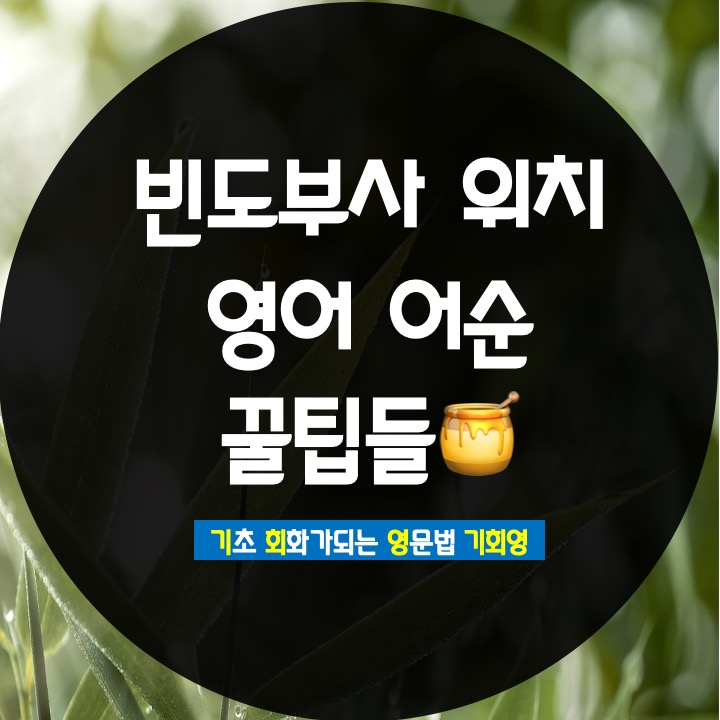  빈도 부사 위치 영어 어순 특징 쉽게 정리 - 기회영