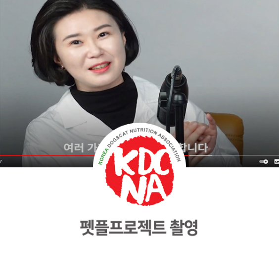  [한국반려동물영양협회/박은정펫푸드아카데미/반려동물영양사/펫푸드자격증/애견수제간식창업/전주/광주/목포/군산/세종/포항/경주/천안] 유튜브 펫플프로젝트 촬영 후기_797