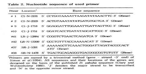 mtDNA 와 COI primer PCR 실험