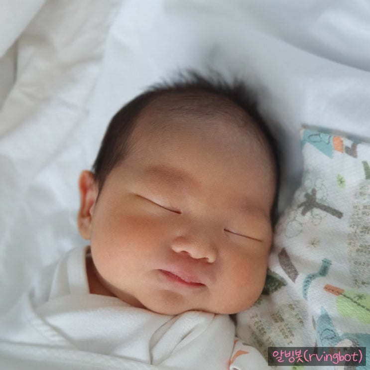  [육아 일기] 신생아는 색 구별을 못한다?