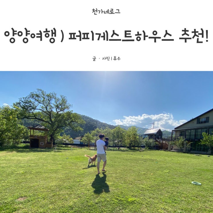  양양여행)  대형견가능 퍼피게스트하우스