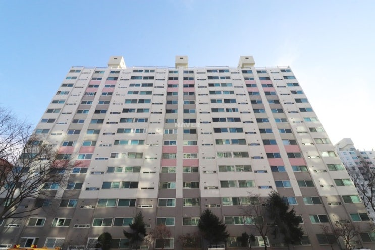 [아파트] 장미마을8단지 현대