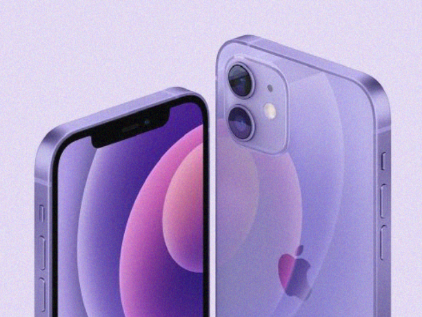 애플 5G 스마트폰 압도적 1위 삼성의 두 배