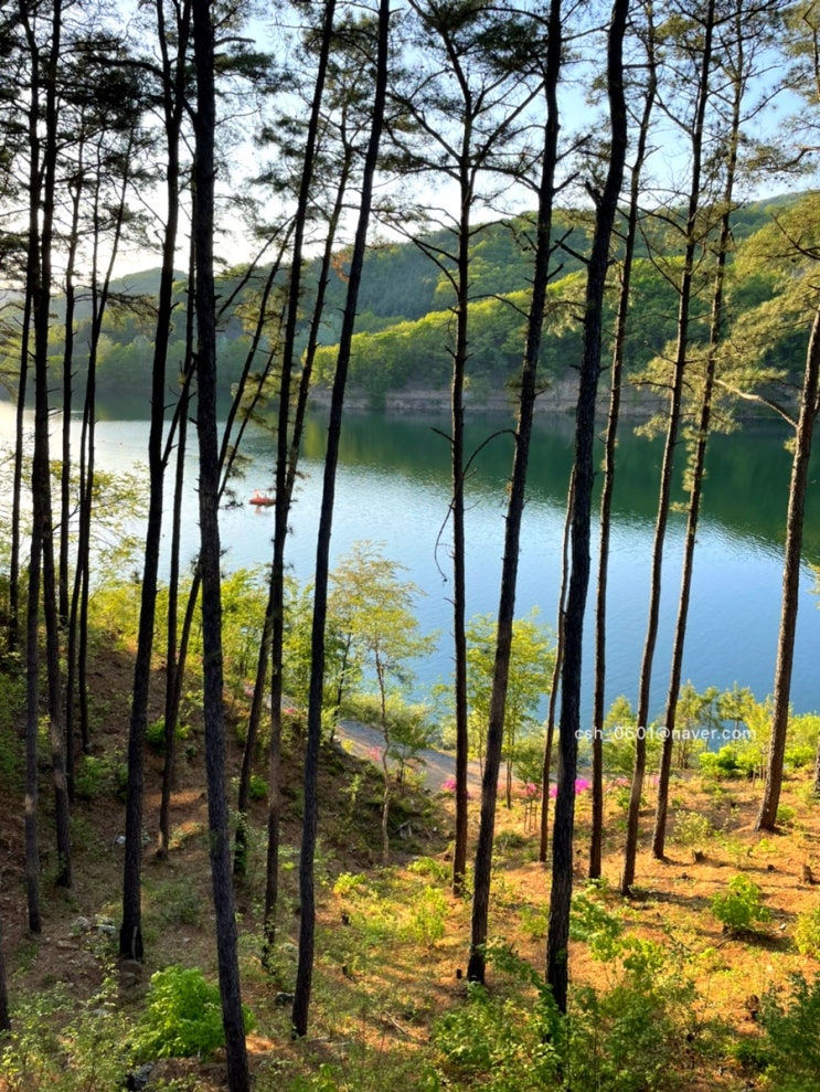  파주 마장호수 출렁다리 마감시간과 주차장 꿀팁
