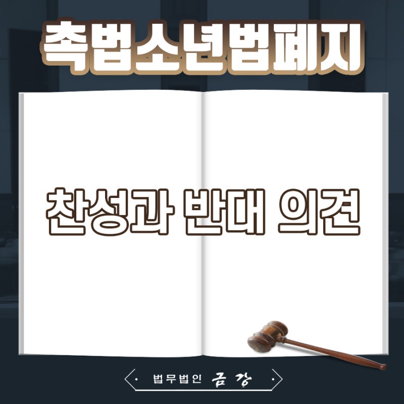 촉법소년법 폐지 논란은 과연 옳은 것일까. 7