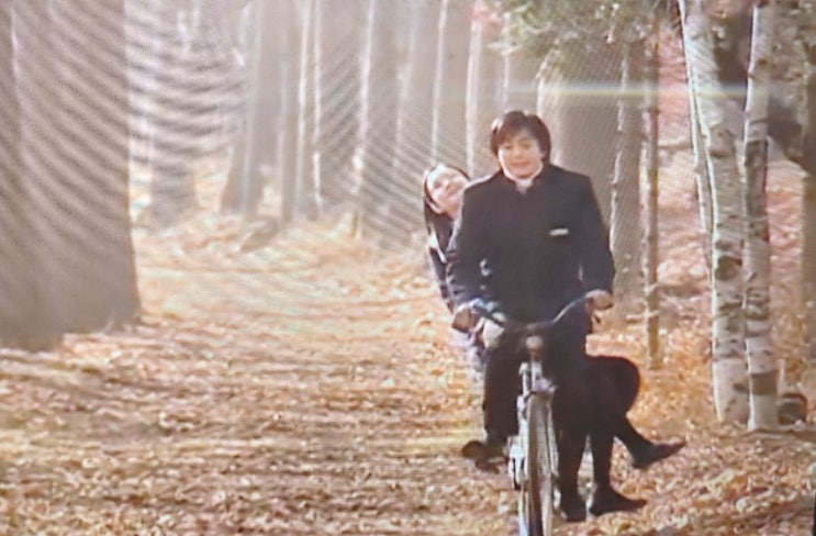 When the Love Falls 사랑이무너질때 겨울연가 /River Flowers in You 이루마 피아노연주 When the Love Falls 사랑이무너질때 겨울연가 /River Flowers in You 이루마 피아노연주