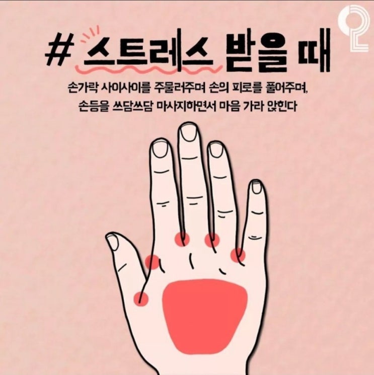  증상별 건강지압