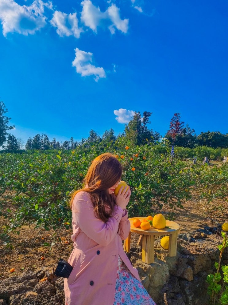  드림큐 롱, 초기비용땜에 아직도 고민만 하시나요?