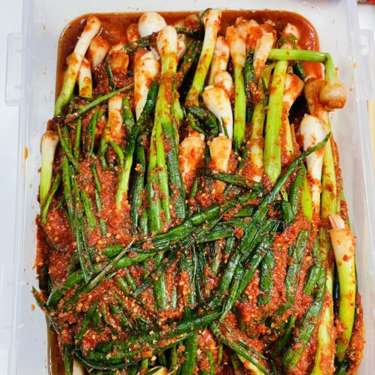  [전라도김치] 김치택배로 시켜본 담양본가김치 파김치 짜파게티 조합!
