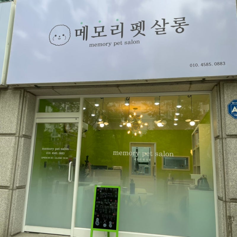 사진 3