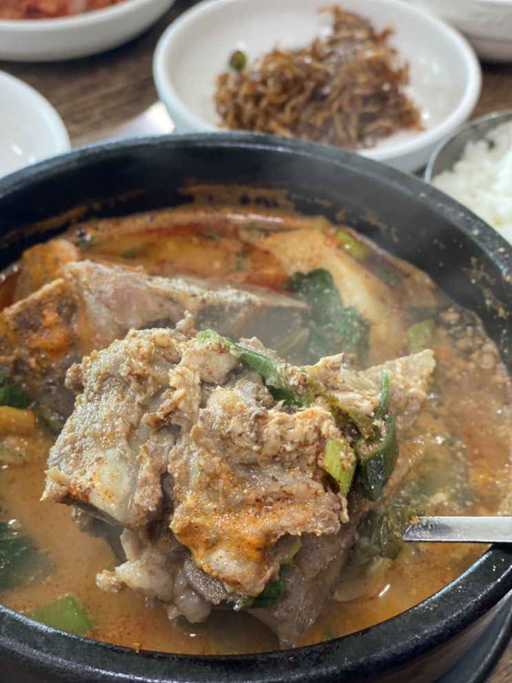  [제주맛집] 이라기엔 애매한 김녕 “대복해장국”