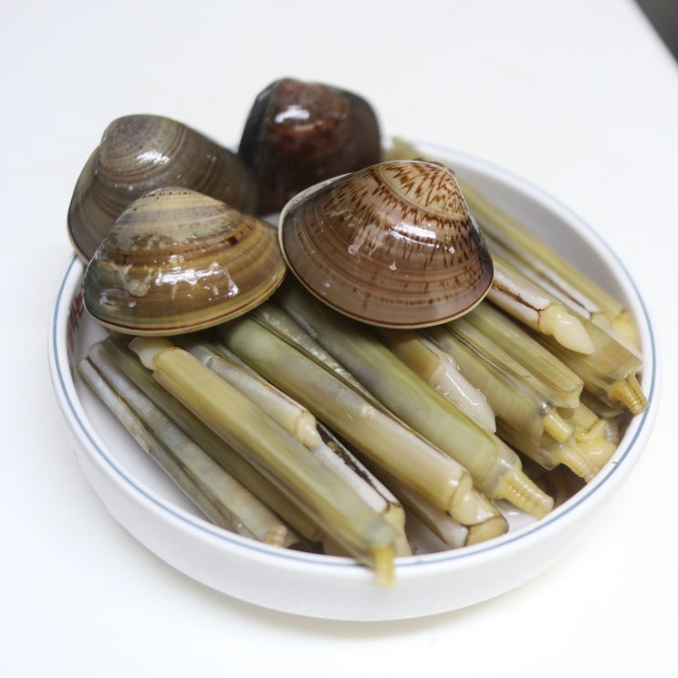  서해안 물때표 물때표보는법 가족과 함께 맛조개 잡기 (몽산포해수욕장)