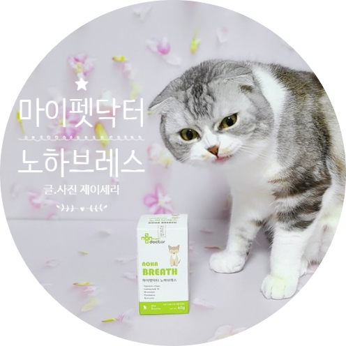  소중한 반려동물의 건강을 위한 고양이 호흡기 영양제 노하브레스 (고양이 영양제)
