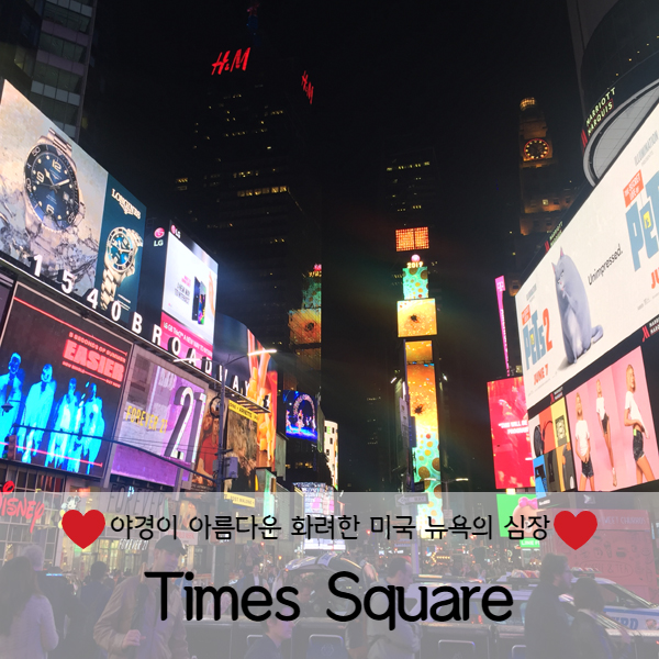 [미국 뉴욕] 미국뉴욕여행 뉴욕 타임스스퀘어(Times Square)야경