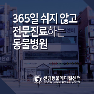  365일 쉬지 않고 전문진료하는 부산 동물병원, 센텀동물메디컬센터
