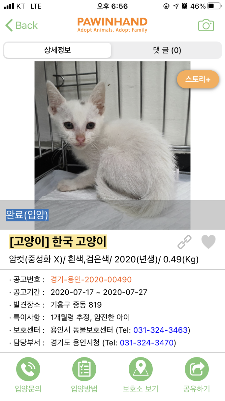  나나편) 나나의과거