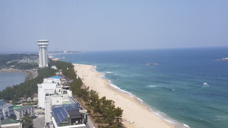  토지보상 꼭 알아야 할사항 / 행정사 추대식