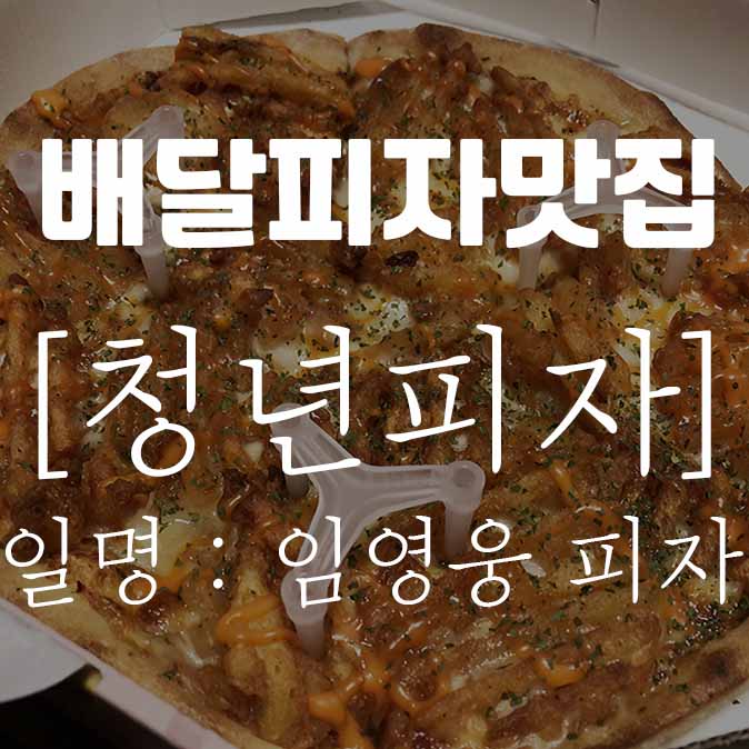  임영웅 피자/미사 배달 /청년피자 /바삭한 허니비 /고구마 크림 치즈스틱 /배달의 민족
