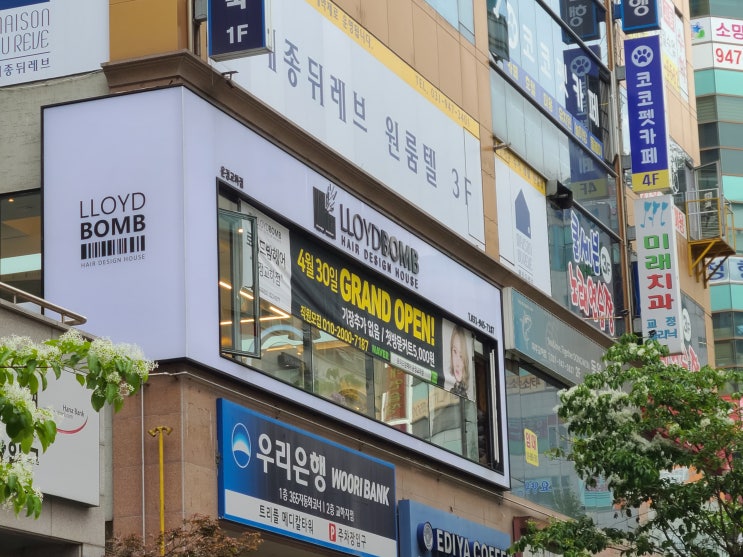  (파주)로이드밤운정교하점 미용실유목민 정착이요!