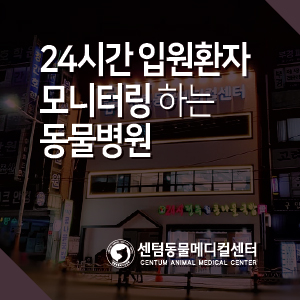  24시간 입원환자 모니터링하는 부산 동물병원, 센텀동물메디컬센터