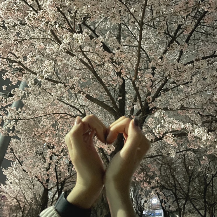  [일상] 블로그 씨 :: 날씨 좋은 날 둘레길 걸으며 산책하기 / 서울 8둘레길 안양천 산책, 일산 호수공원