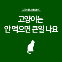 고양이는 안 먹으면 큰일 나요