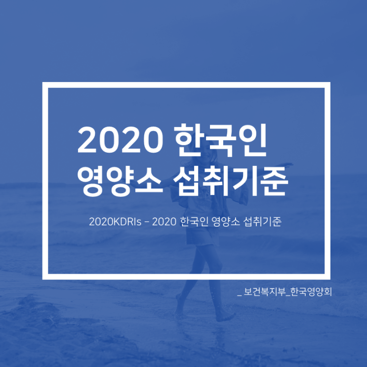 2020 한국인 영양소 섭취기준