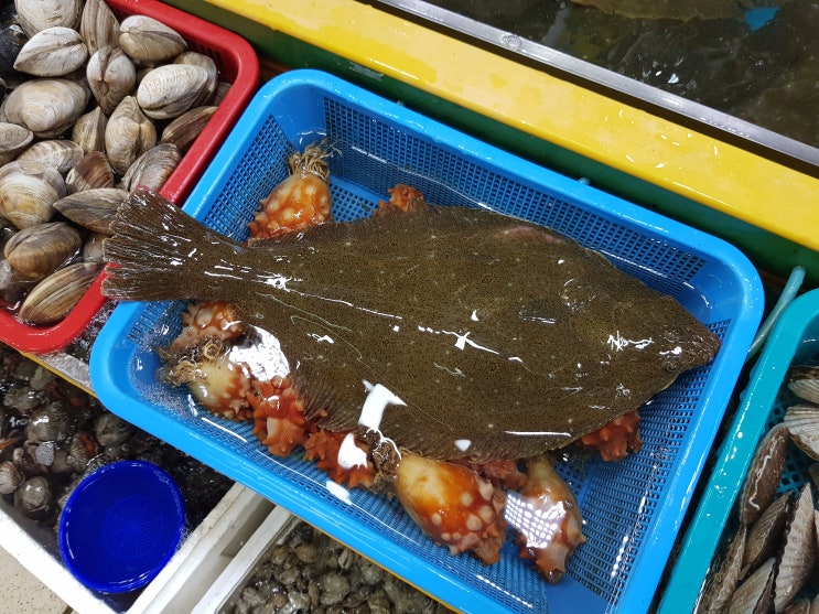  [인천 영종도맛집] 가성비 좋은 하늘도시 "구읍뱃터 어시장"