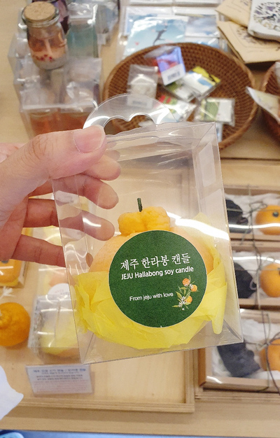  제주 탑동 올리브영/ 제주스타벅스MD / 제주 기념품 소품