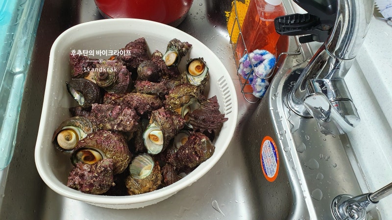뿔소라 손질방법/뿔소라 삶는시간, 뿔소라보관방법,뿔소라장아찌 만들어먹기