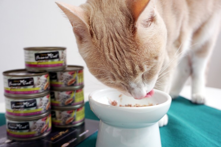 고양이 주식캔 퍼시캣 프리미엄 습식사료