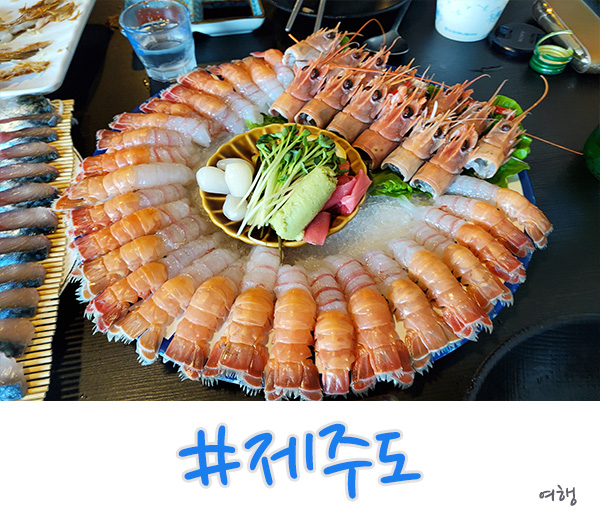  딱새우랑 함께한 제주도 3박4일 여행 프롤로그