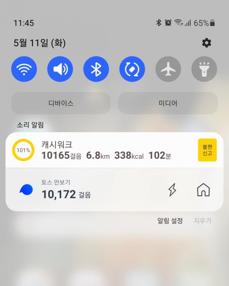  만보걷기D+14
