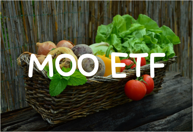 점점 올라가는 농산물 가격! MOO ETF로 인플레이션 대비하자