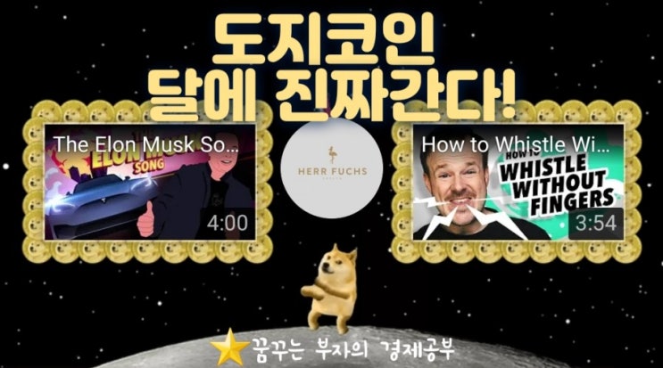  일론머스크 도지코인을 달위에!! 스페이스X 비용 결제 진짜 도지코인으로 한다!!