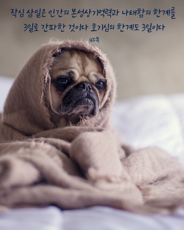 작심삼일 작심삼일
