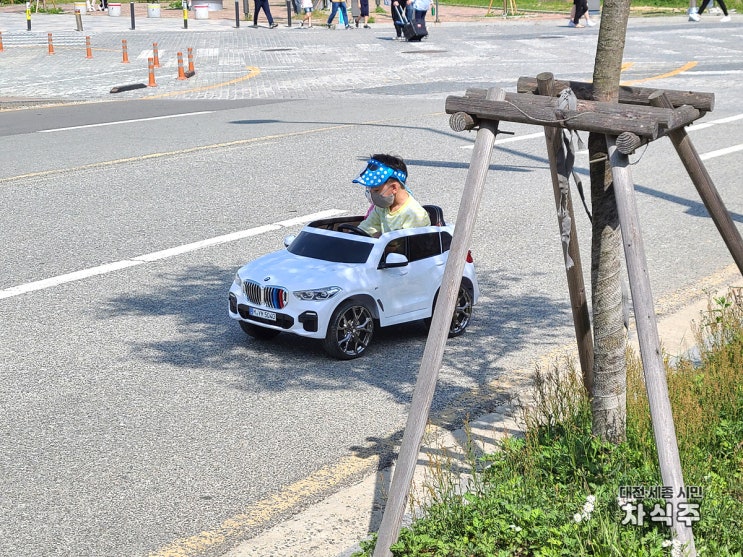  [세종시 가볼만한곳] 세종호수공원 봄 풍경