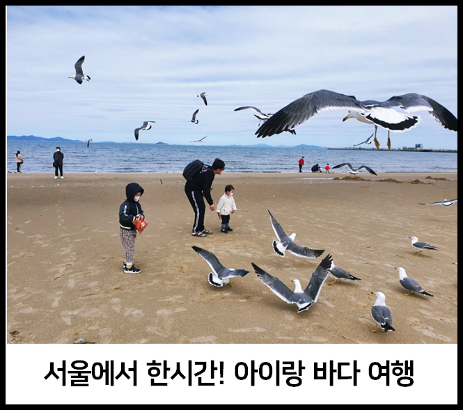 서울에서 한시간 만에 갈 수 있는 바다! 아이랑 갈 때 핵꿀팁 포함 (feat. 갈매기 새우깡, 갯벌 체험, 모래성 놀이)