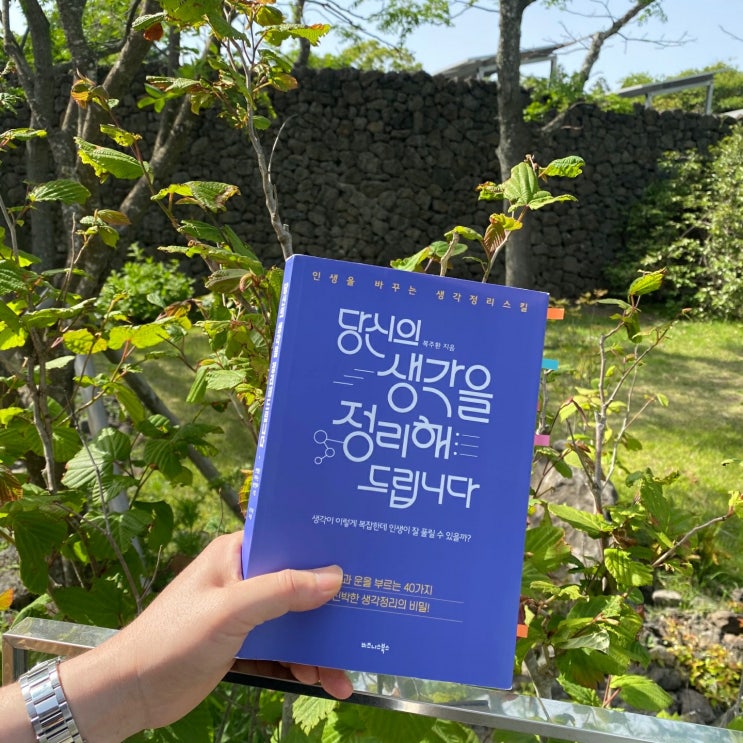  Henry's Review [당신의 생각을 정리해 드립니다 by 복주환]