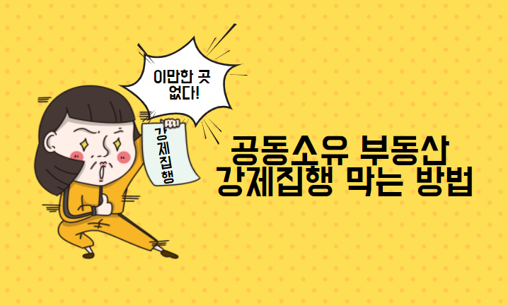  공동소유 부동산 강제집행 막는 방법