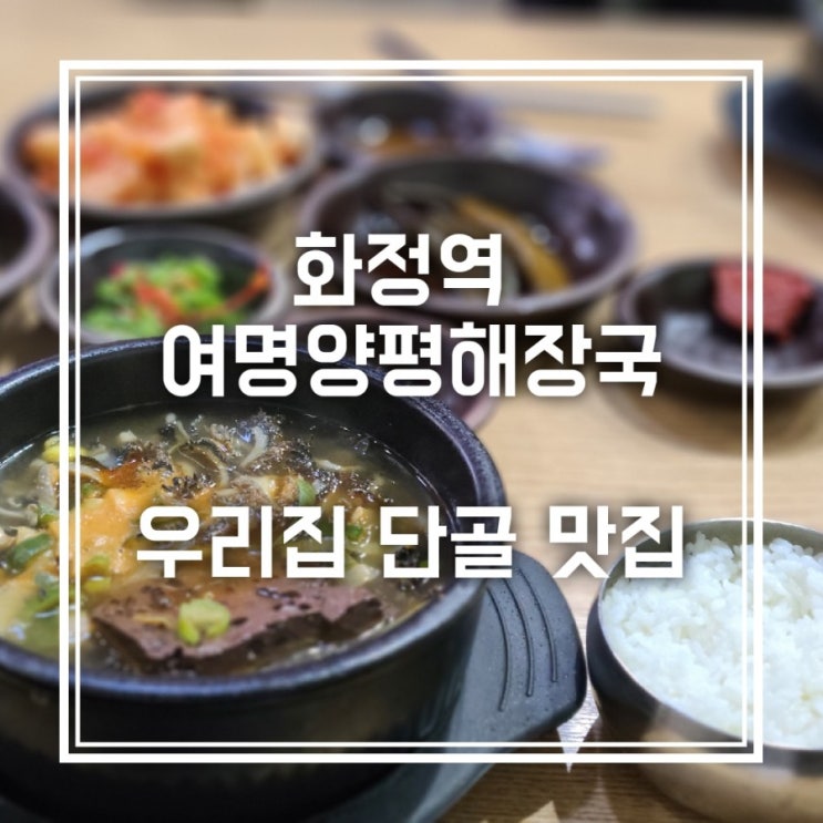 화정역 양평해장국 맛집 여명양평해장국 단골 후기