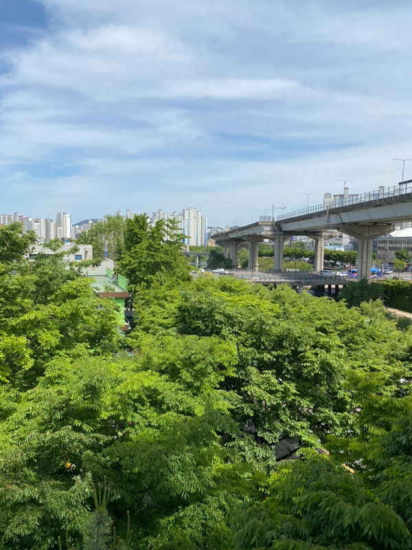 매일매일챌린지, 본격 여름의 시작, 난 나의 루틴으로 시작 매일매일챌린지, 본격 여름의 시작, 난 나의 루틴으로 시작