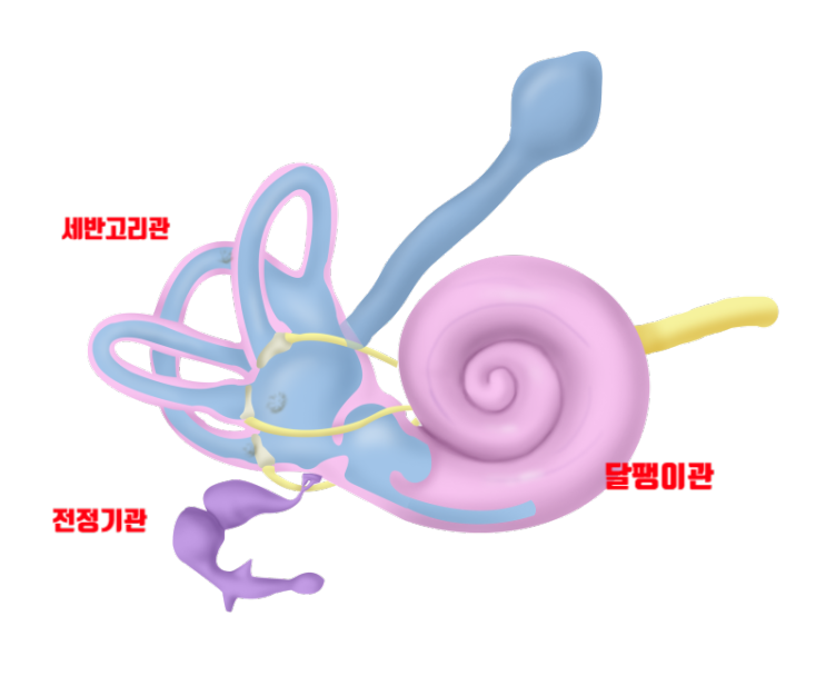 메니에르 병 - 내이 림프부종이 전정기관, 달팽이관, 세반고리관을 자극, 반복성, 자가면역질환, 생활습관